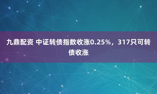 九鼎配资 中证转债指数收涨0.25%，317只可转债收涨