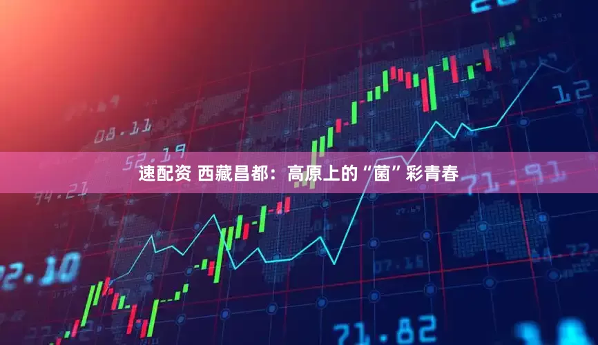 速配资 西藏昌都：高原上的“菌”彩青春