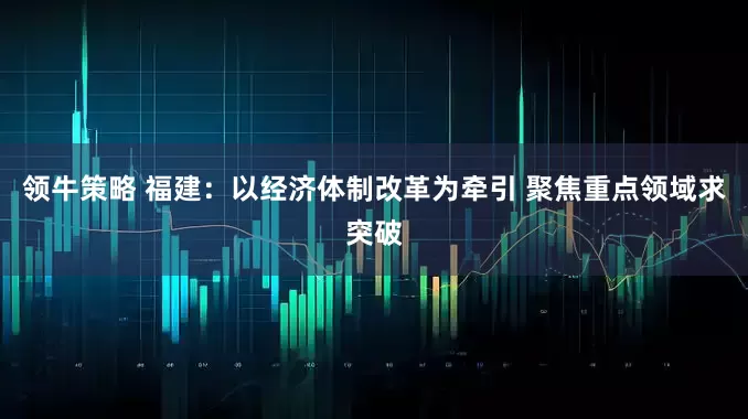 领牛策略 福建：以经济体制改革为牵引 聚焦重点领域求突破