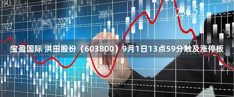 宝盈国际 洪田股份（603800）9月1日13点59分触及涨停板